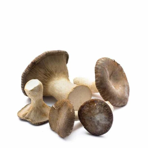 Funghi Cardoncelli