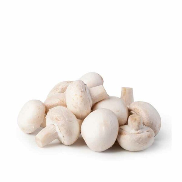 Funghi Champignon