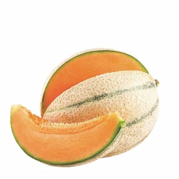 Melone Cantalupo