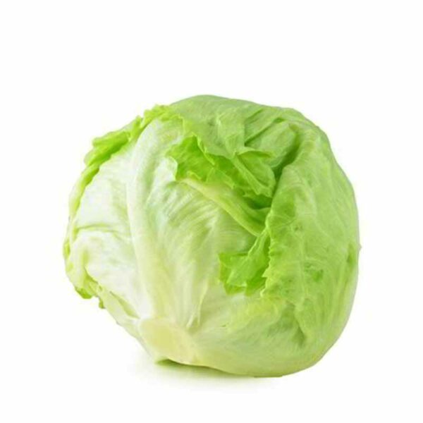Iceberg