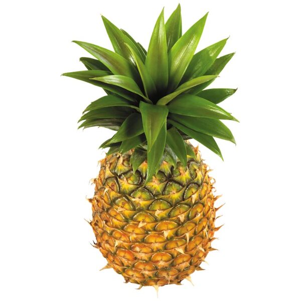 Ananas