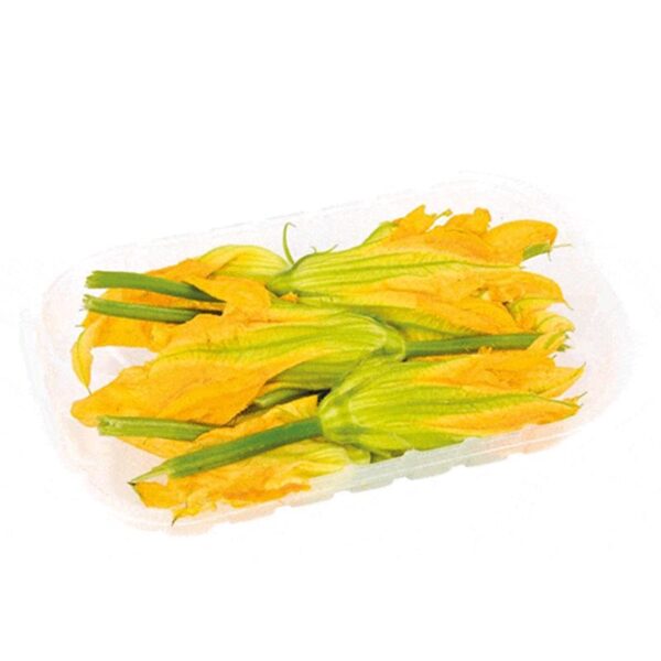 Fior Di Zucchina in Vaschetta