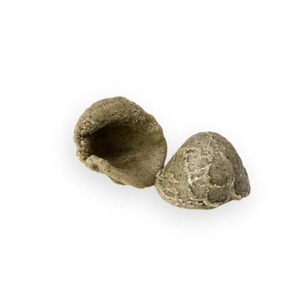 S.Orecchiette al Grano Arso kg 1(GELO)