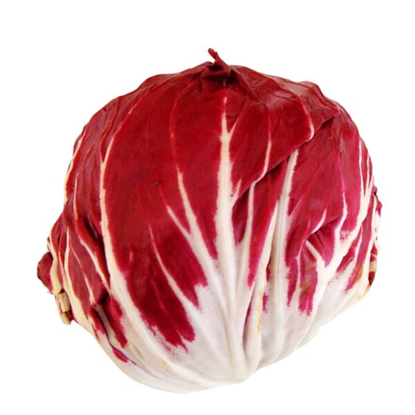 Radicchio