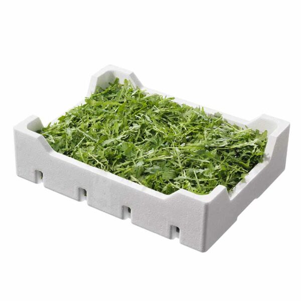 Rucola Polistirolo gr500