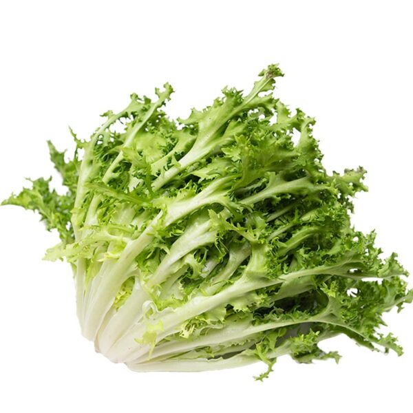 Scarola