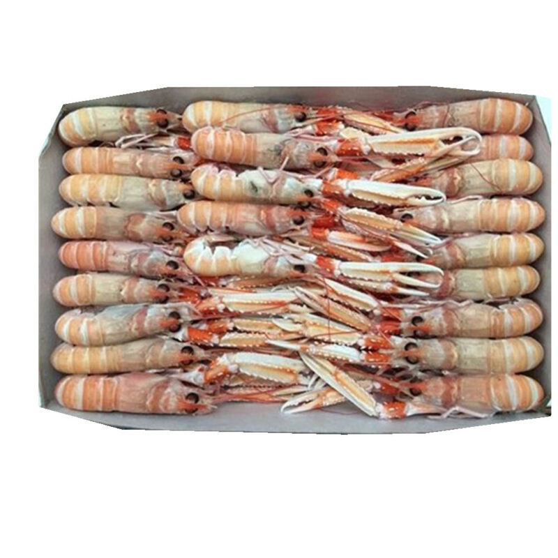 Scampi Labadie 21/30 Kg3