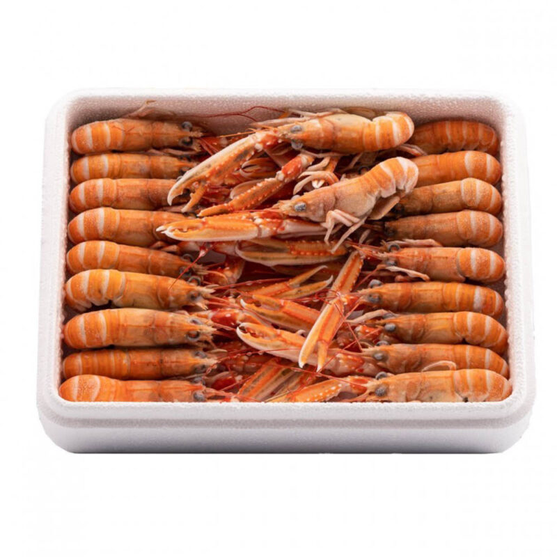 Scampi Interi Porcupine 15/20  Cong. A Bordo Kg3