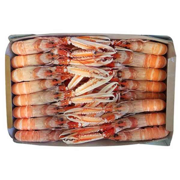 Scampi Interi Porcupine 5/10 Cong. A Bordo Kg3