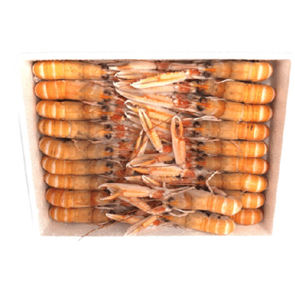 Scampi Super Premium Scozia Pz35 Kg3