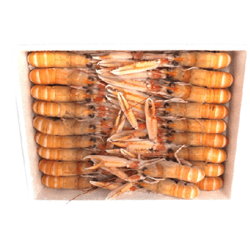 Scampi Super Premium Scozia Pz35 Kg3