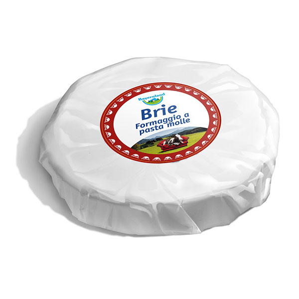 Bayernland Brie Kg1